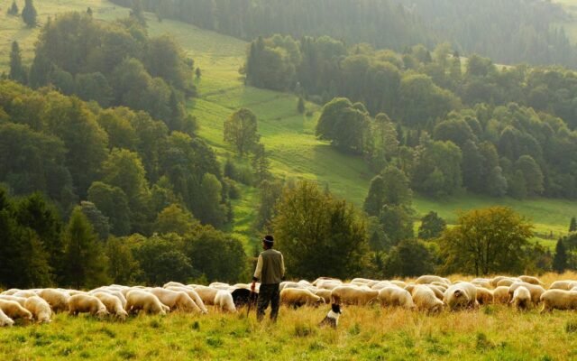 Océan Indien : la coopération régionale au menu des discussions