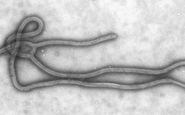 Ebola : le Kenya confirme un deuxième cas, l’épidémie continue de progresser en RDC