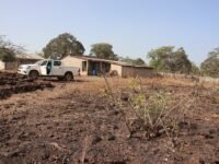 Guinée : 6 000 enseignants admis au concours de la fonction publique, dont 4 304 contractuels